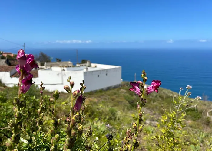 Διαμέρισμα Liro Genovés